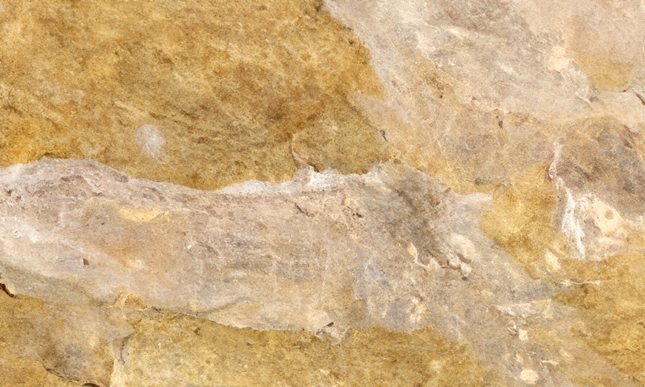 Penta Gold Granite