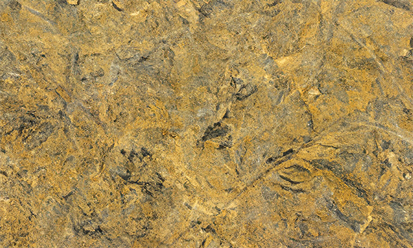 Juliet Granite