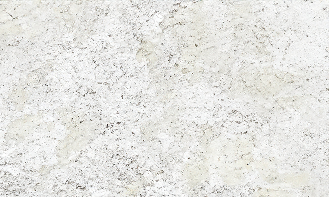 Fantastic White Granite