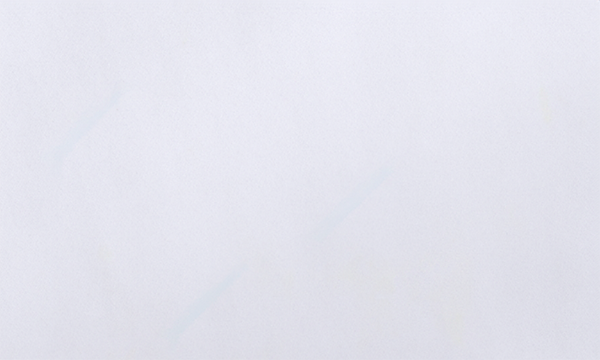 Bianco Neve Marble