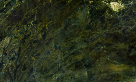 Vitoria Regia Granite