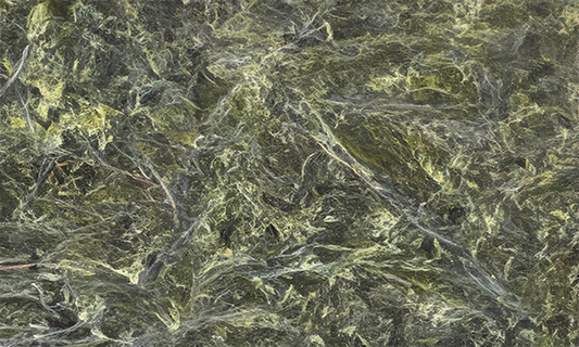 Rainforest Green Marble