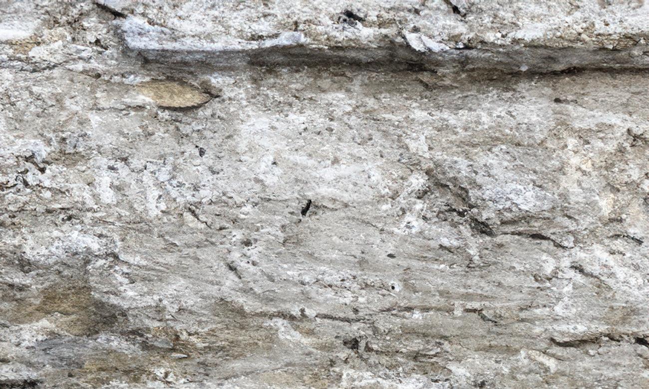 Typhoon Beige Granite