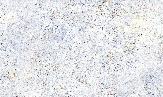 Snowflakes Bianco Granite