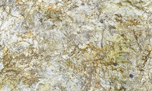 Harvest Cream Granite