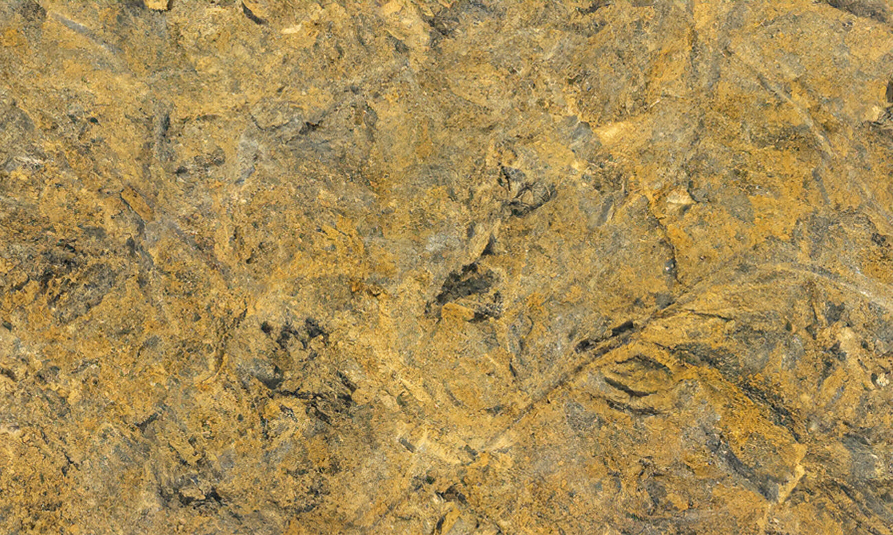 Juliet Granite