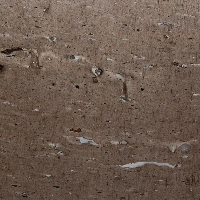 Cygnus (Cross Cut)_4