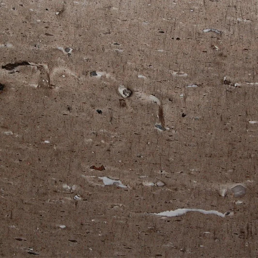 Cygnus (Cross Cut)_4