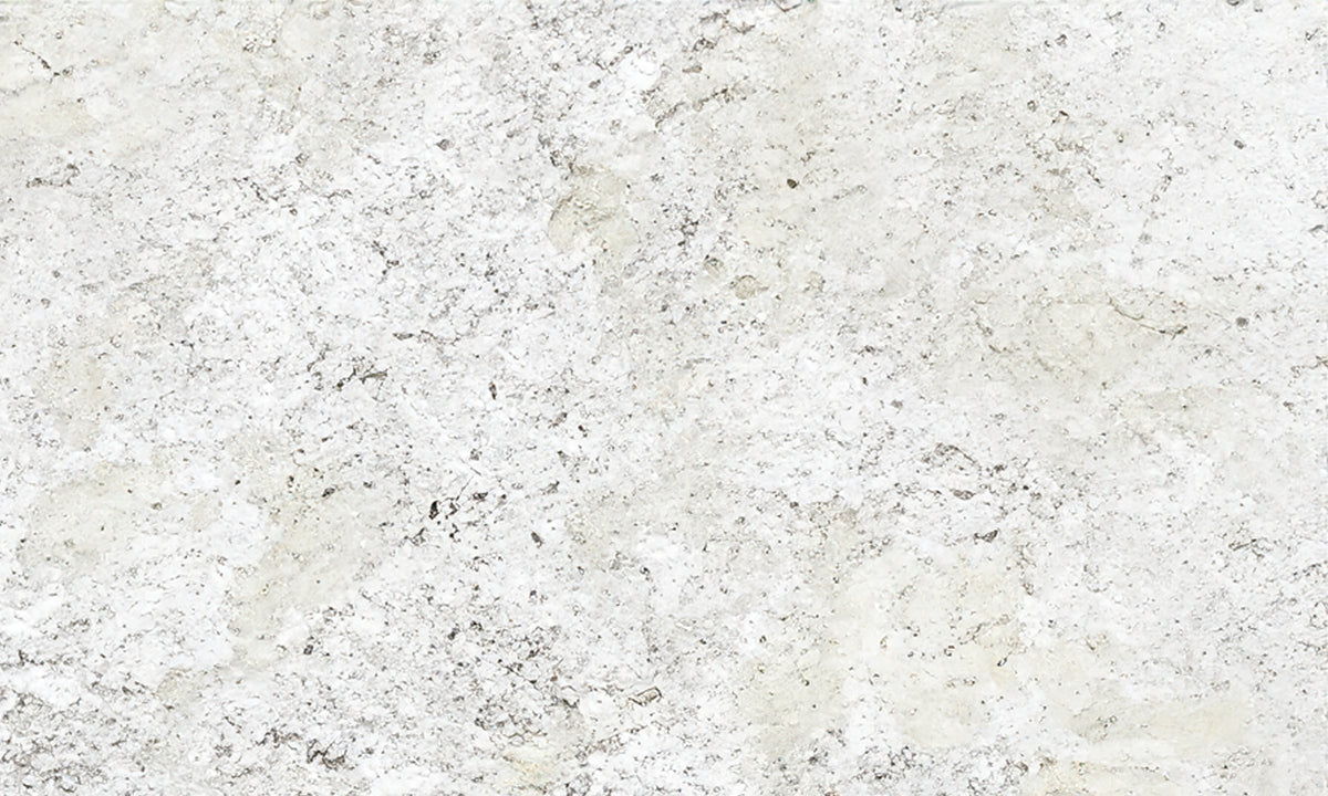 Fantastic White Granite