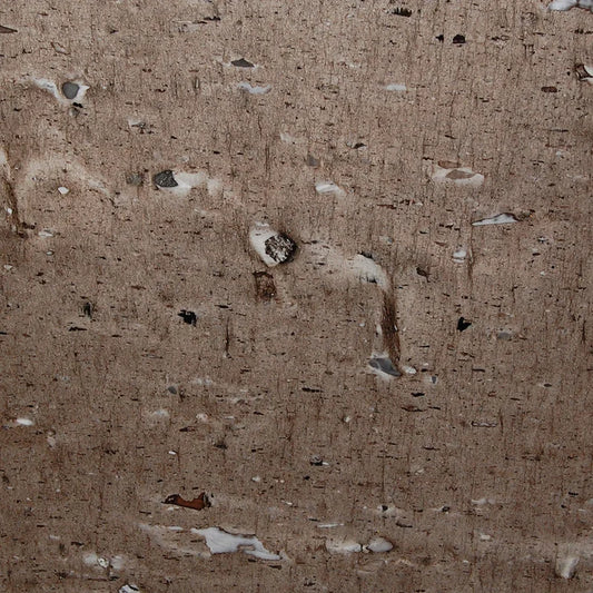 Cygnus (Cross Cut)_2