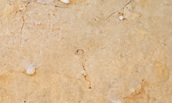 Carmel Gold Granite