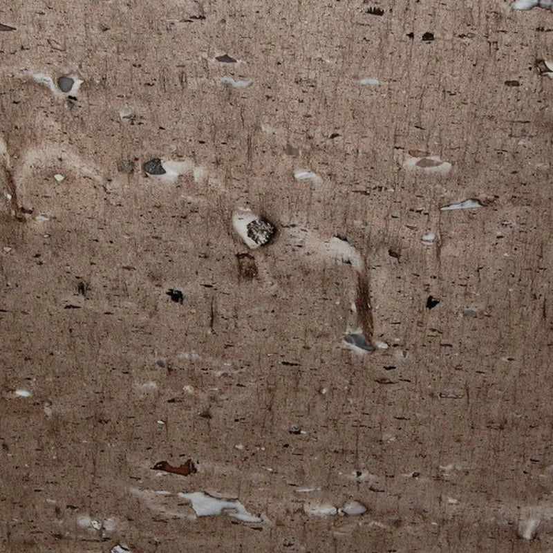 Cygnus (Cross Cut)_5