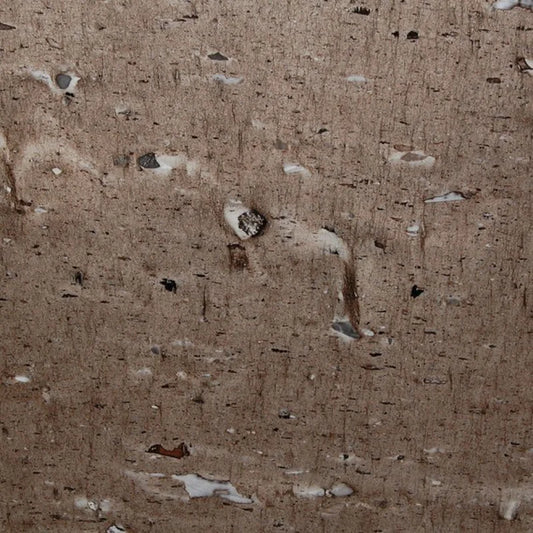 Cygnus (Cross Cut)_5