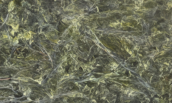 Rainforest Green Marble