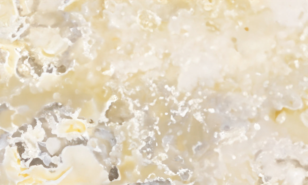 Norm White Onyx