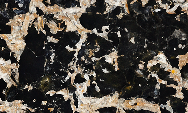 Jurassic Black Quartzite