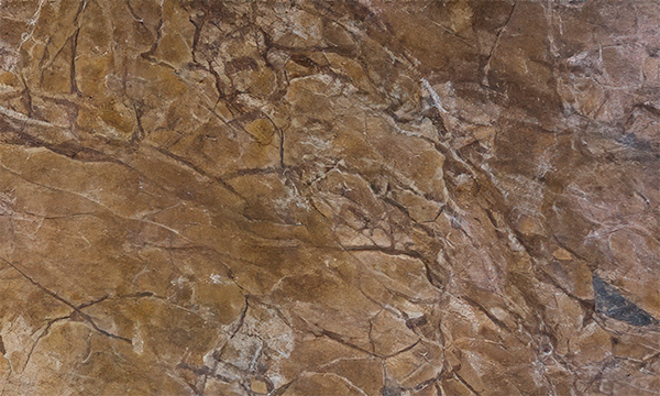 Rainforest Brown Marble