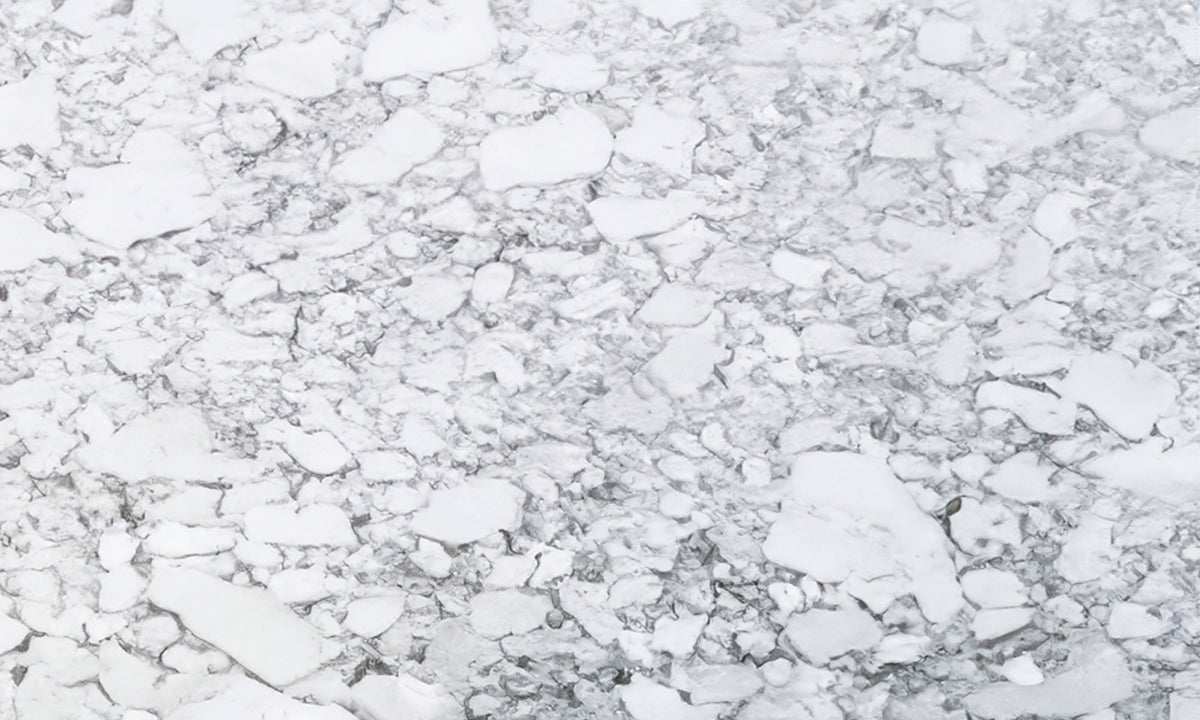 Arabescato Marble