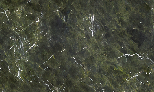 Verde Fantastico Granite