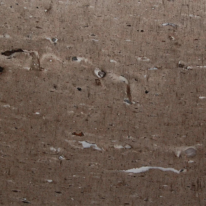 Cygnus (Cross Cut)_1