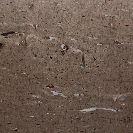 Cygnus (Cross Cut)_1