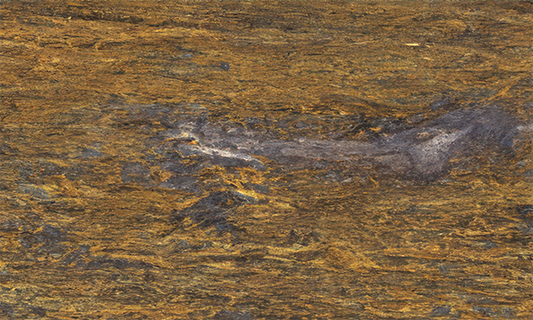 Fire Island Granite