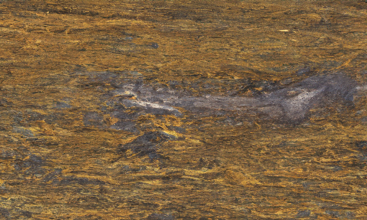 Fire Island Granite