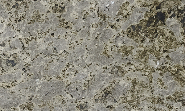Tropical Montana Granite